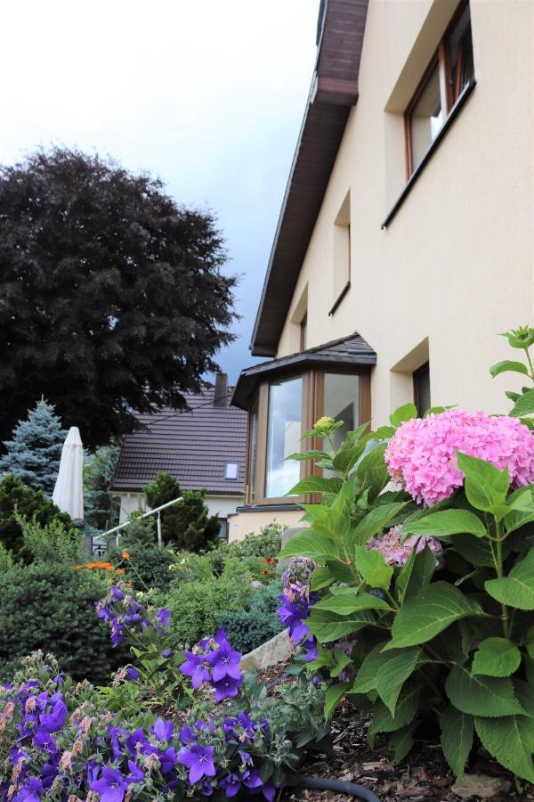 Ferienwohnung Hans Im Glueck Olbernhau Esterno foto