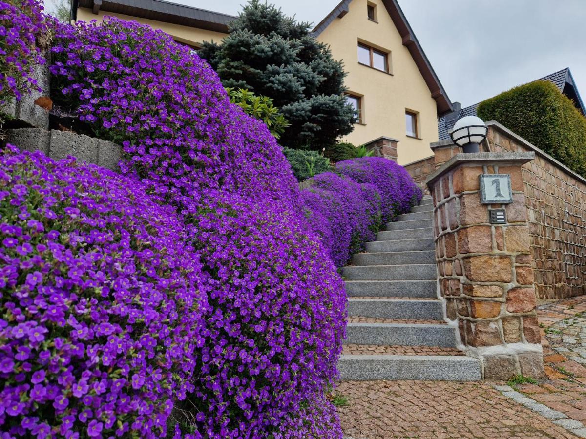 Ferienwohnung Hans Im Glueck Olbernhau Esterno foto